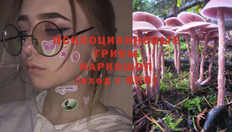 Псилоцибиновые грибы Magic Shrooms  где найти   kraken ССЫЛКА  Котельниково 